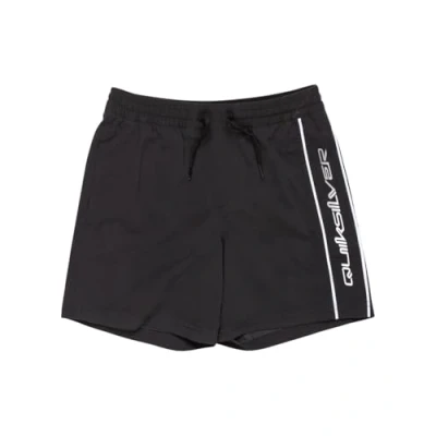 Image of Quiksilver Everyday VERT Volley Swimming shorts, Men&#039;s, Size: L14, Black