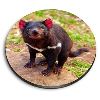 Image of 1 x Round MDF Magnet Cute Tasmanian Devil Animal 2201