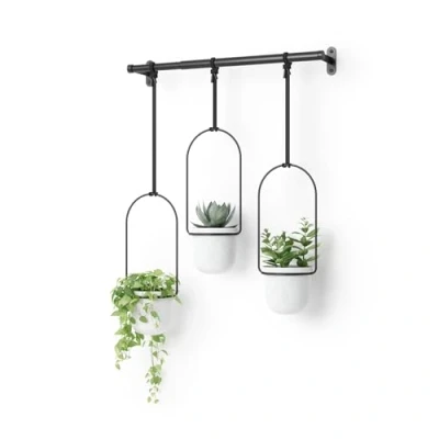 Image of Umbra Triflora Hanging Planter for Window, Indoor Herb Garden, White/Black, Triple, 3 Pots