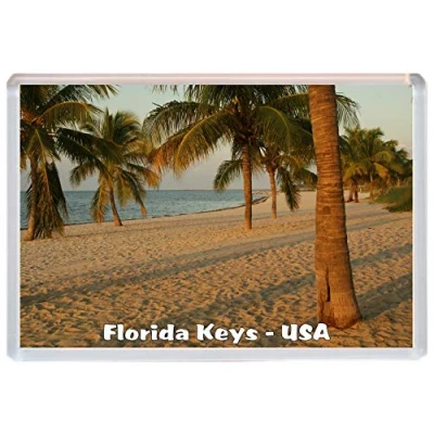 Image of Florida Keys USA Palm Trees Jumbo Fridge Magnet/Magnets BBSM1411