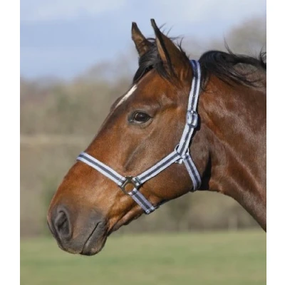 Image of Shires Wessex Nylon Headcollar Red/Silver Cob