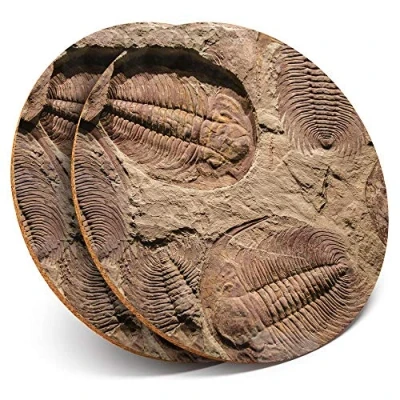 Image of 2 x Round Coasters Fossil Trilobite Dinosaur Cork Backed Home Kitchen Accessory Tea Coffee Mug Mat #45062