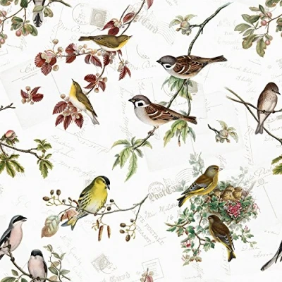 Image of 20 Napkins Home Bird Species / Birds Animals Animal Motif Spring 33 x cm