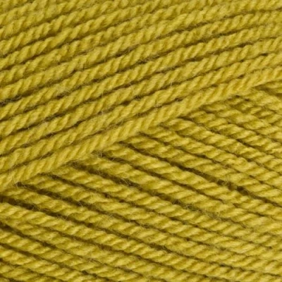 Image of Stylecraft 9041712 Special DK Lime (1712) Yarn 100g