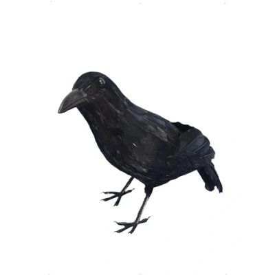 Image of Smiffys Crow, Black Feathered, 33cm, Halloween Fancy Dress Accessory, Up decorations