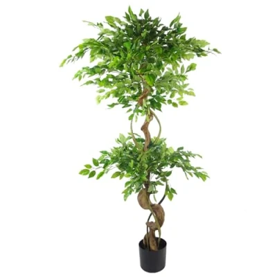 Image of 150cm Twisted Trunk Artificial Japanese Fruticosa Style Ficus Tree