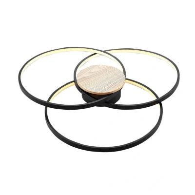 Image of Lindby Riley LED ceiling light, dimmable, black