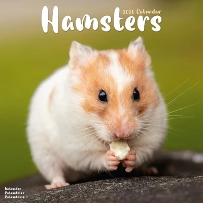 Image of Hamsters Calendar 2026