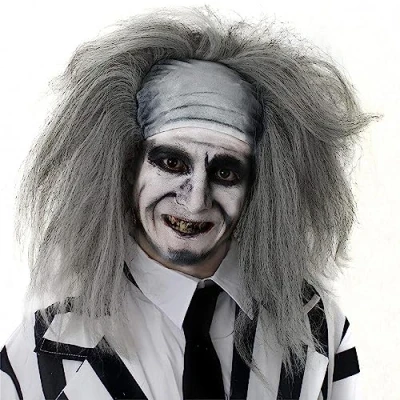 Image of Mad Man Halloween Wig Fancy Dress Accessories Kooky Spirit Mens &amp; Ladies Perfect For