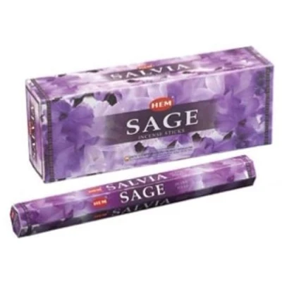 Image of HEM Go Away The Evil Incense Sticks Pack of 6