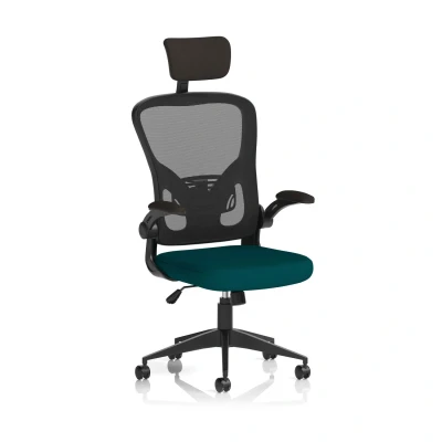 Image of Ace Executive Fabric Seat Maringa Teal Mesh Chair With Folding Arms