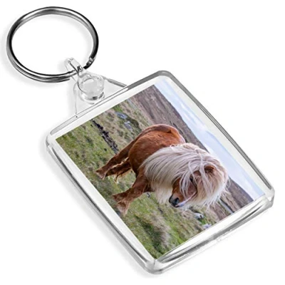 Image of Windswept Shetland Pony Keyring Cute Horse Ponies Animals Pets Mum #15993
