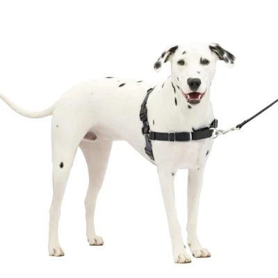 Image of PetSafe Easy Walk Dog Harness, No Pull Harness Perfect for Leash &amp; Training Stops Pets from Pulling and Choking on Walks Medium/Large, Charcoal/Black