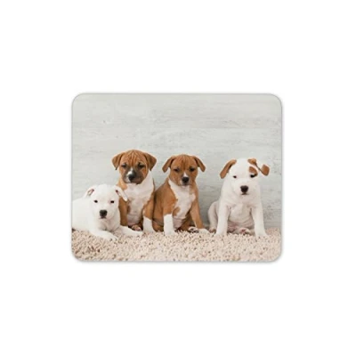 Image of Destination Vinyl Ltd Cute Staffy Puppies Mouse Mat Pad Dog Puppy Staffie Fun Computer #8638