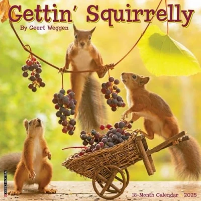 Image of Gettin&#039; Squirrelly 2025 Wall