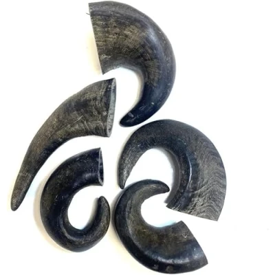Image of Medium Buffalo Horns x 20 Natural Dog Treats Chews