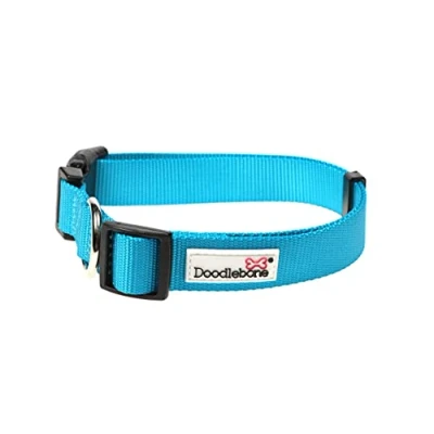Image of Doodlebone Dog Collar, Aqua, 1 2