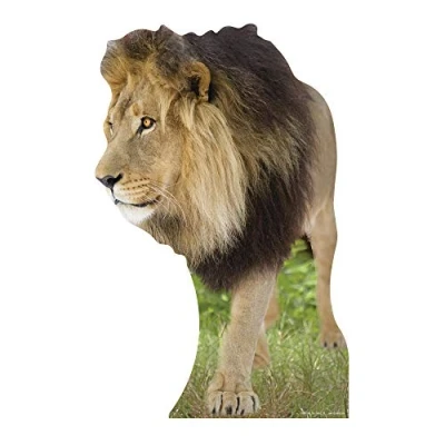 Image of Star Cutouts Cut Out of Lion