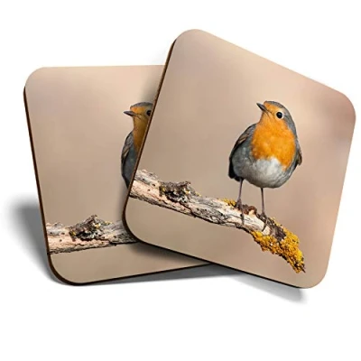 Image of Great Coasters (Set of 2) Square/Glossy Quality Coasters/Tabletop Protection for Any Table Type Red Robin Bird Garden Cute #2062