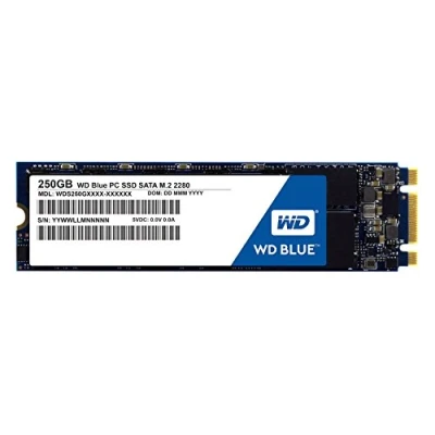Image of WD Blue M.2 250GB Internal SSD Solid State Drive SATA 6Gb/s 2.5 Inch WDS250G1B0B