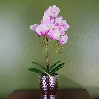 Image of 50cm Phalaenopsis Orchid Artificial Light Pink Silver