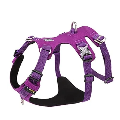 Image of WINHYEPET Waterproof Fabric Dog Harness High Density Nylon Webbing Light weight Double H Shape Embroidery 5 Adjustable Positions Easy Control for Small Medium Large Pets YH1807(Army Green, 2XS)
