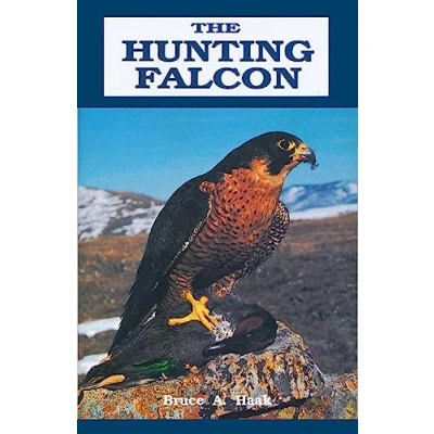 Image of Hunting Falcon