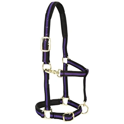 Image of Weaver Leather Padded Adjustable Nylon Horse Halter, Purple, 1&quot; Small