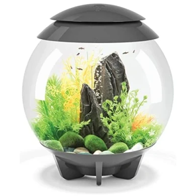 Image of biOrb Halo 15 Acrylic 4 Gallon Aquarium with Multi Color Remote Controlled LED Lights, Gray