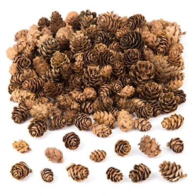 Image of Baker Ross AC492 Larch Cones Value Pack — Ideal for Kids&#039; Arts and Crafts, Christmas, Sensory Stimulation, More (250g), Assorted, Small