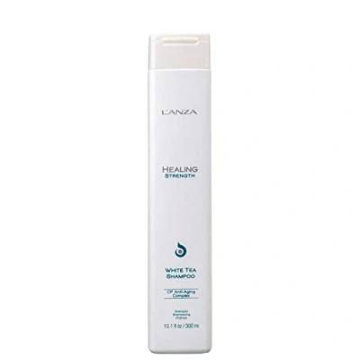 Image of L’ANZA Healing Strength White Tea Shampoo Strengthens, Protects, and Restores Weak, Fragile, Aged Hair, Rich with Keratin Protein, Oils, Vitamin C (300ml)