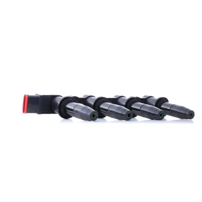 Image of 71739725, 71744369, 71779115 Ignition coil BERU ZS427 6 pin connector 12V without electronics 4 Type SAE, incl. spark plug