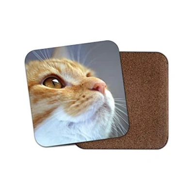 Image of 1 x Ginger Tom Cat Coaster Kitten Cute Cats Pretty Pets Animal Gran #15270