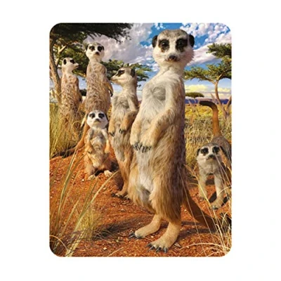 Image of 3D LiveLife Magnet Meerkat Gaze from Deluxebase. Lenticular Safari Fridge Magnet. Magnetic decor for kids and adults with artwork licensed renowned artist, David Penfound
