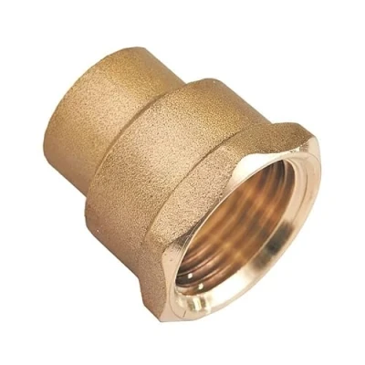 Image of 15mm x 1/2&quot; End Feed BSP Female Connector
