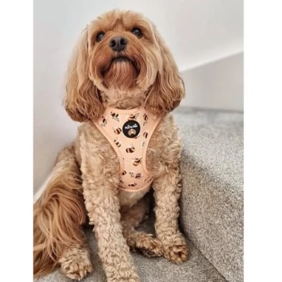 Image of Bumble Bee dog Harness/Adjustable harness harness/dog car for no pulling