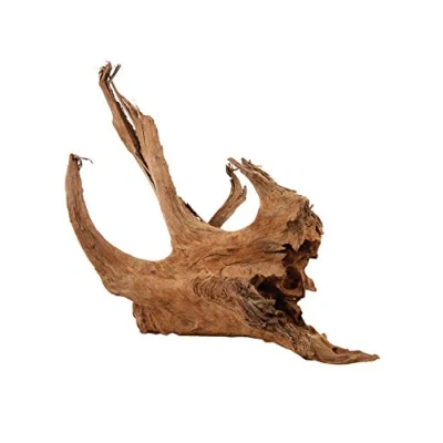 Image of Zolux Root Mangrove 15 to 25 cm