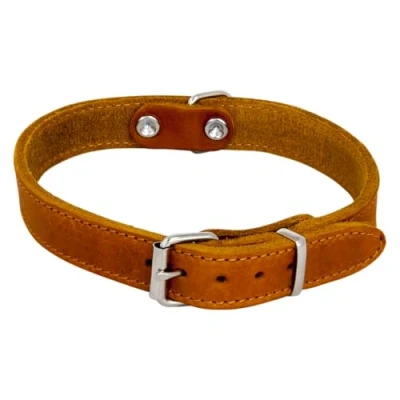 Image of JACK AND VANILLA, Dog Collar, Fat Leather Model, Cognac, Size 10 mm x 25 cm