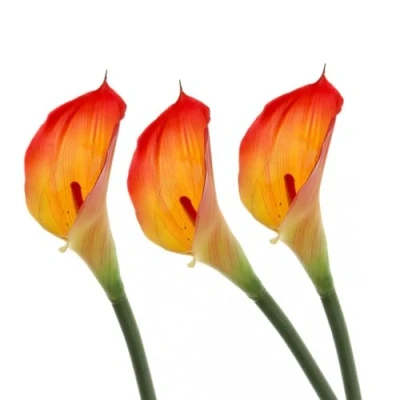 Image of FloristryWarehouse Artificial Real Touch Calla Lily Bundle of 3 Stems 66cm/26 Inches Red Yellow
