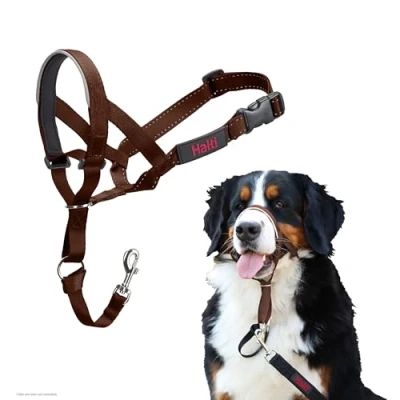 Image of HALTI Headcollar To Stop Your Dog Pulling on the Lead. Adjustable, Reflective and Lightweight, with Padded Nose Band. Training Anti Pull Collar for Large Dogs (Size 4, Deep Walnut)