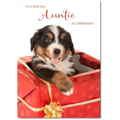Image of doodlecards Auntie Christmas Card Dog in Parcel Medium Size for with Plain Envelope