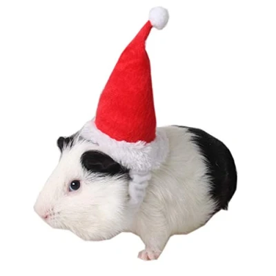Image of Small Animals Pet Santa Claus Hat Rabbit Hamster Guinea Pig Rats Christmas Cap