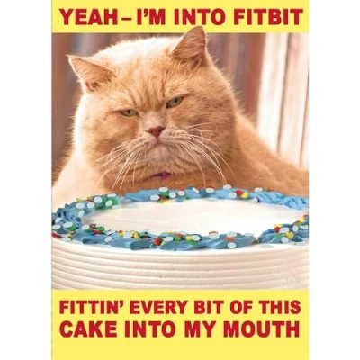 Image of UK Greetings Birthday Card For Him/Her/Friend With Envelope Funny Ginger Cat Design