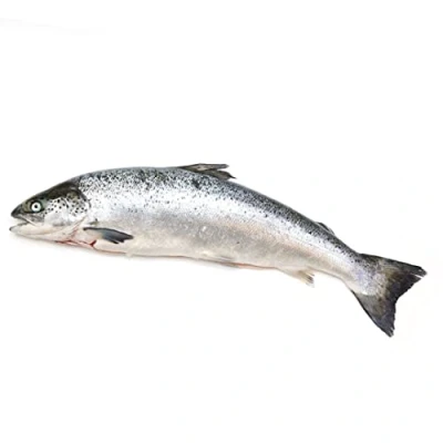 Image of Whole Salmon 3 5kg /+10%