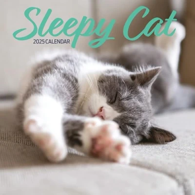 Image of Sleepy Cat 2025 Calendar