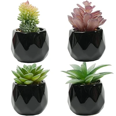 Image of Canirologas Artificial Plants Indoors, Black Ceramic Potted Ornaments, Small Green Succulents Decor for Bedroom Aesthetic, Faux Desk Plant Bathroom,Office Decoration (frosty 4pcs)