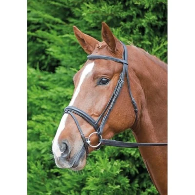 Image of Shires Aviemore Comfort Fit Bridle Havana: Pony