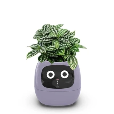 Image of Itigoitie Smart Flowerpots,Smart Pet Planter,Ai Planter,Intelligent Flowerpots,Multiple Expressions,7 Sensors, and Ai Chips Make Raising Plants Easy Fun for Living Room,Plant Free(Purple)