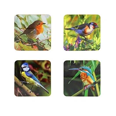 Image of CRAFTY CAPERS DELETE SALE Set of 4 British Birds Theme Coasters in Box