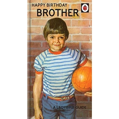 Image of Brother Birthday Card, Happy Card Brother, Ladybird Card,Multi,9 x 5
